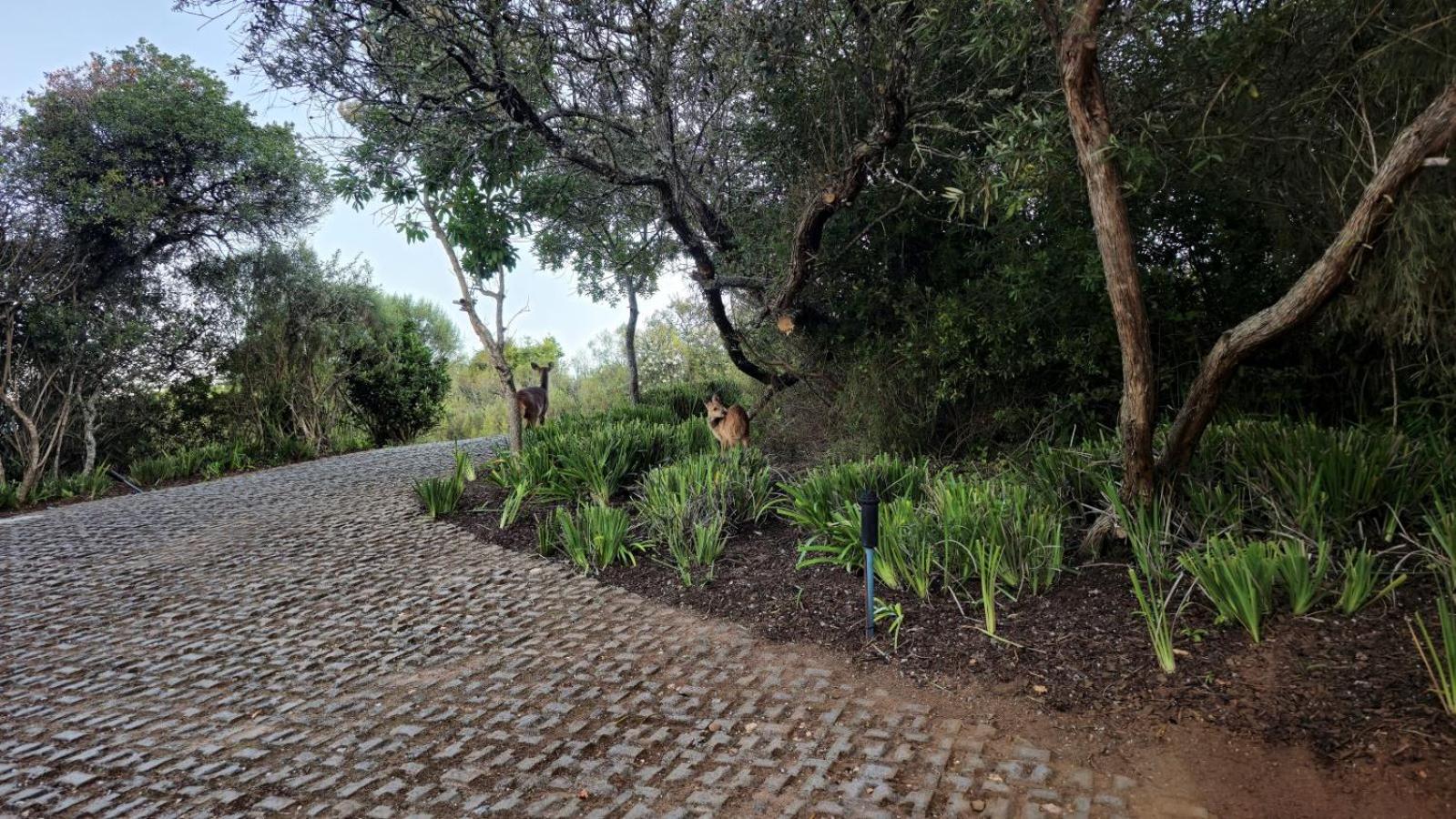 Oubaai Villa By Raw Africa Collection Herolds Bay Exterior foto